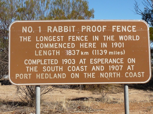 Rabbit Proof Fence
